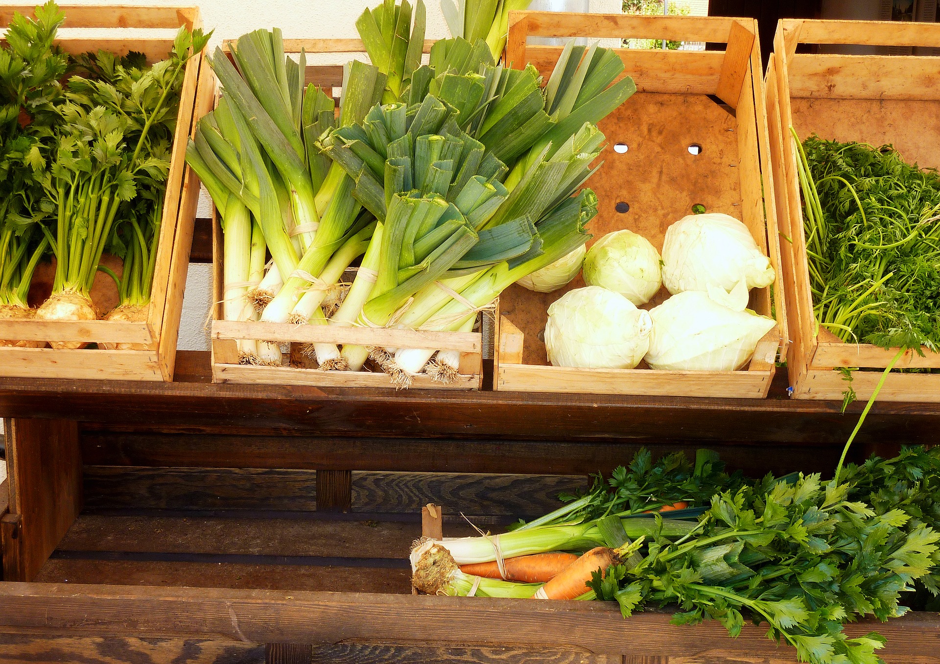 Celer a petržel zařaďte do vašeho jídelníčku