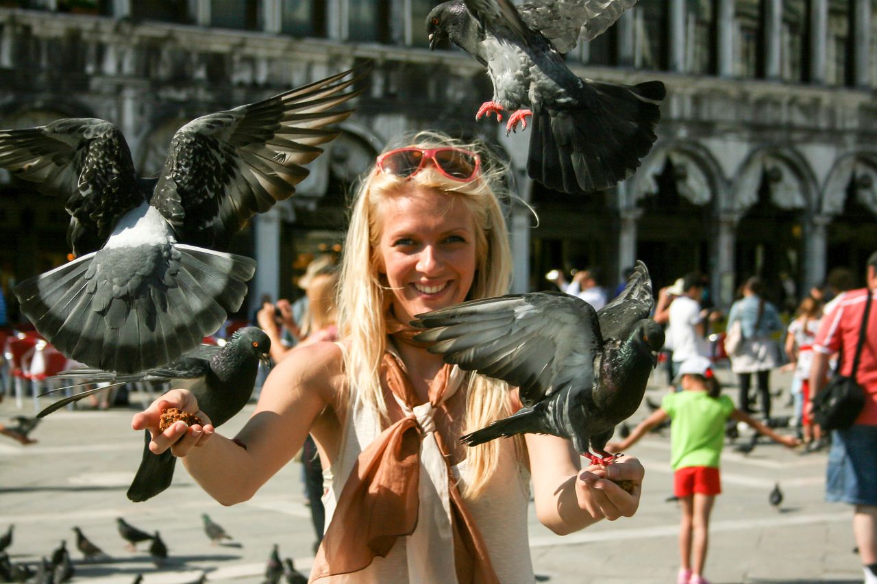 Benátky a jejich holubi