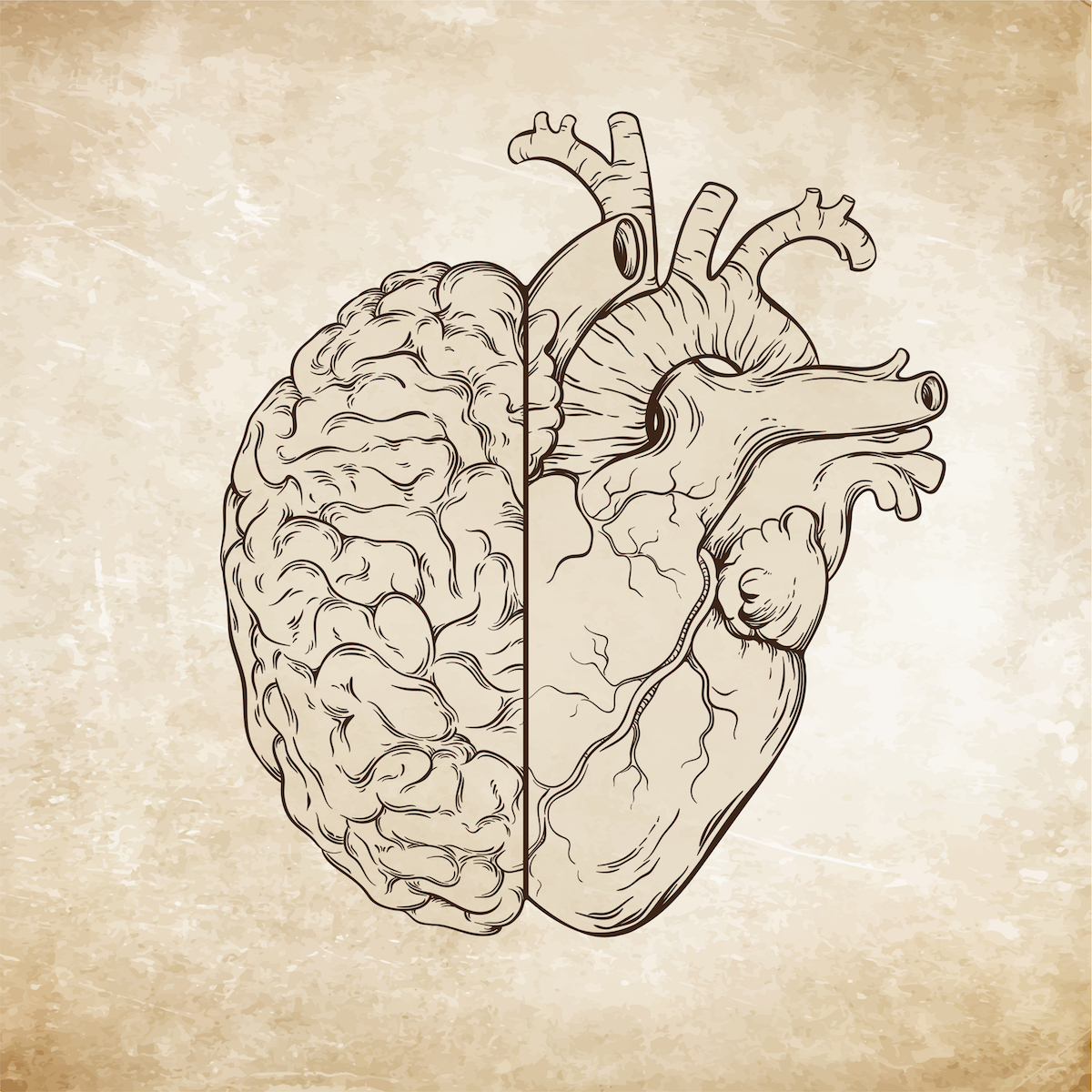 Sídlem emocí v těle je srdce a mozek