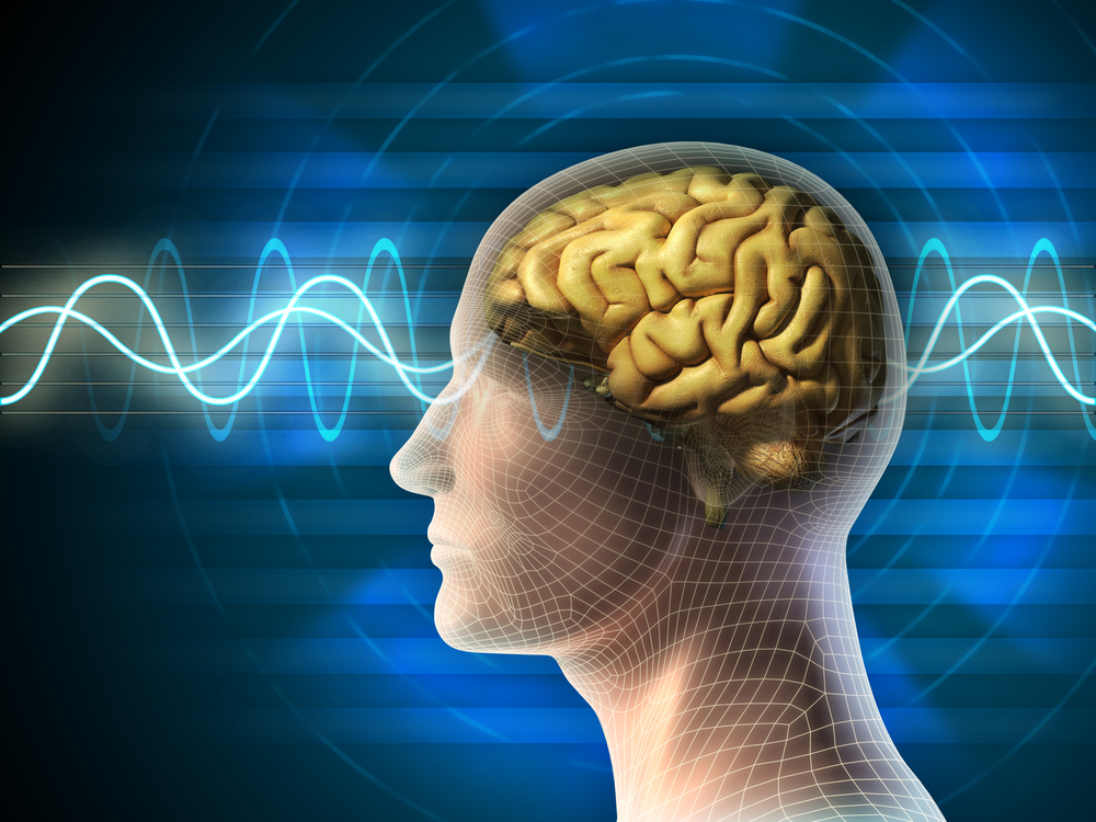 Frekvence mozkových vln - počet elektrických impulzů za sekundu
