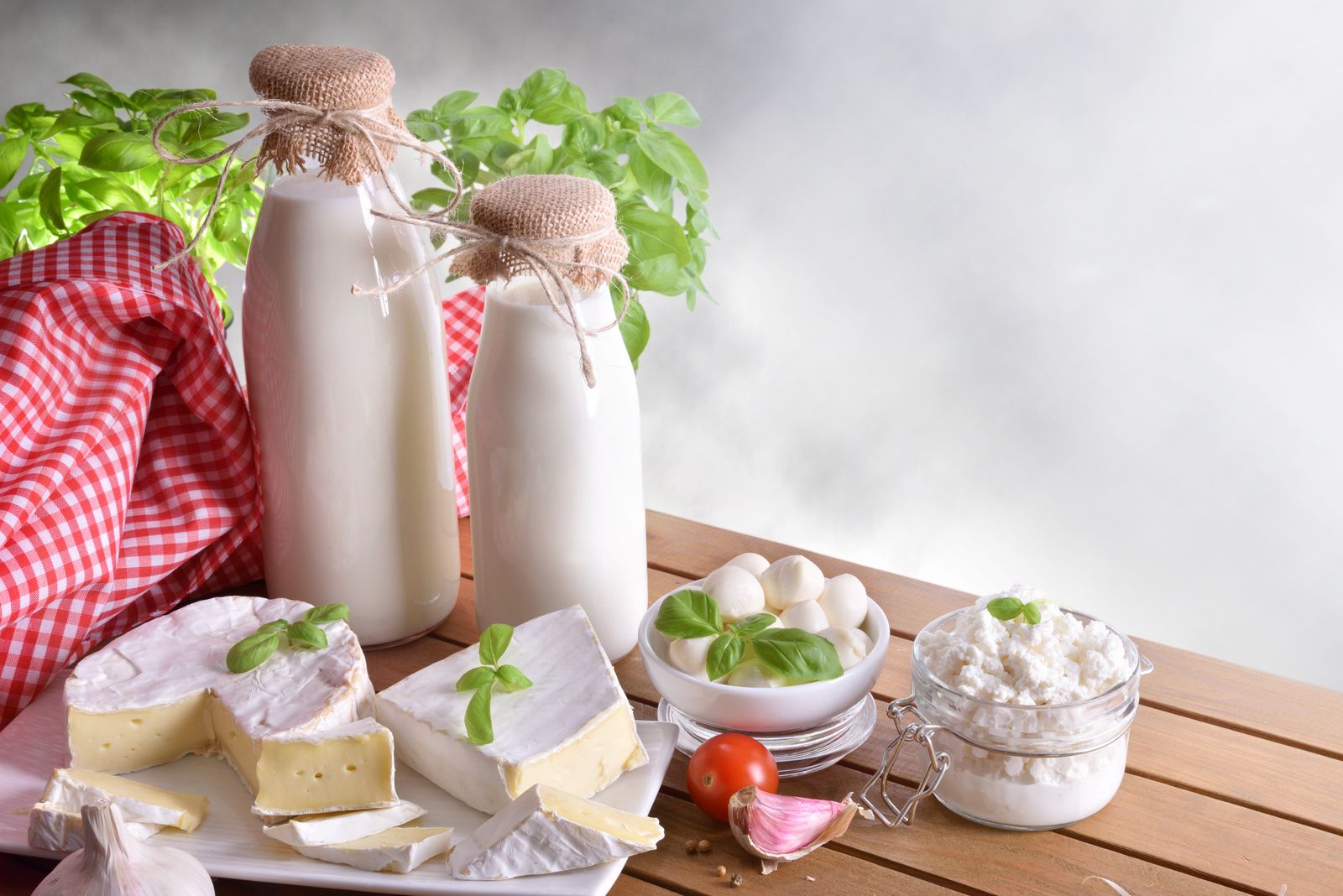 Milujete mléčné výrobky?