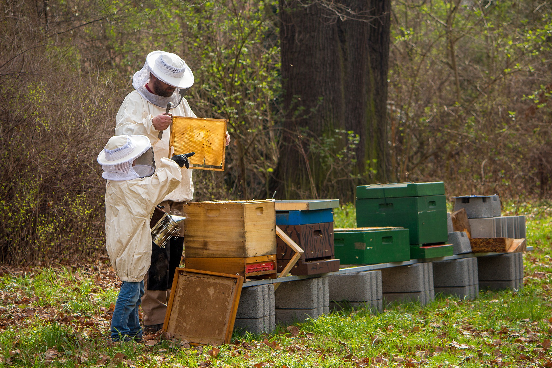 Med má blahodárné účinky