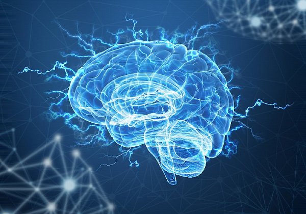 Jak posílit zdraví mozku?