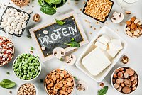 Proteiny: esence zdraví